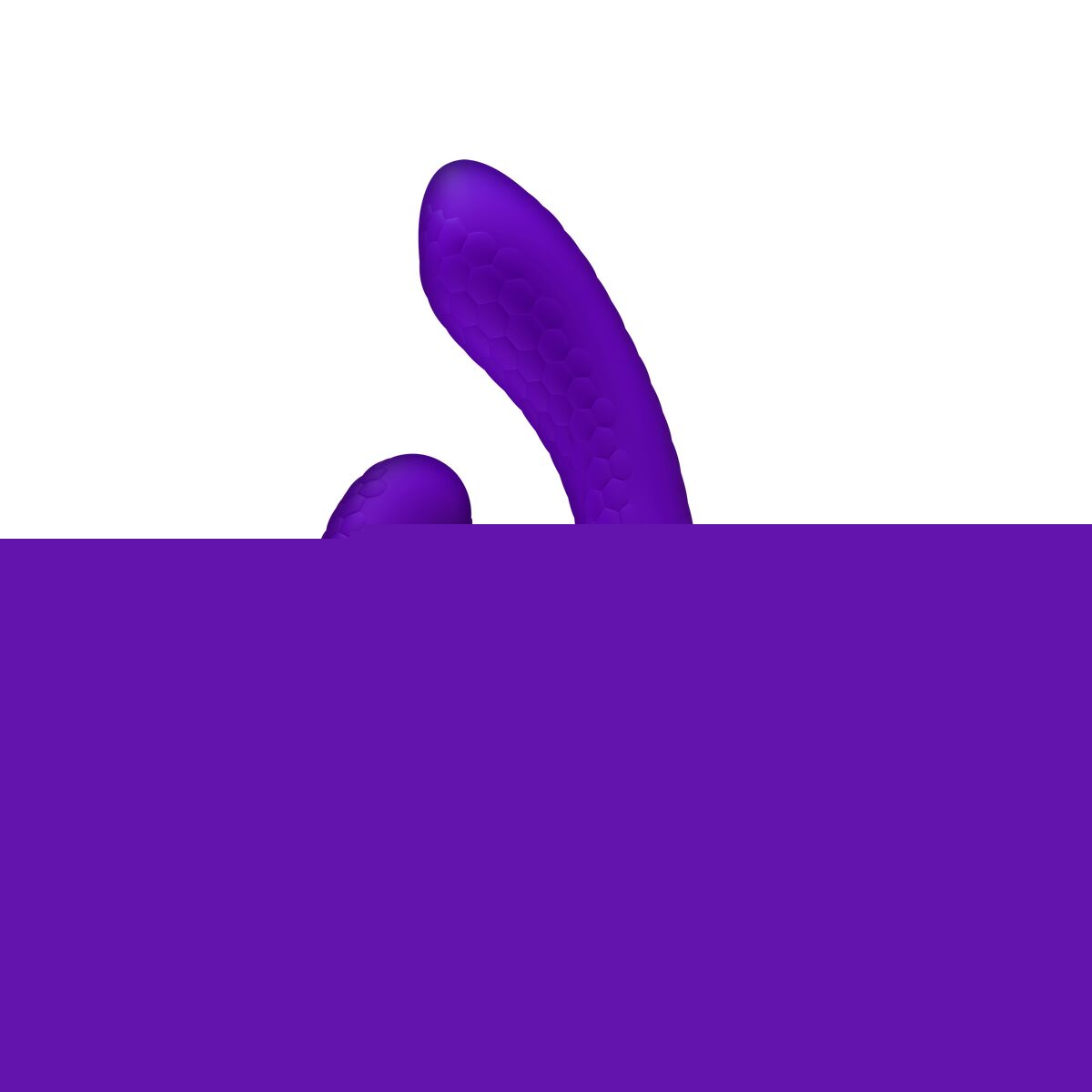 V4H21B82462B9B433CB4629E7D22E506D69R4774509P2