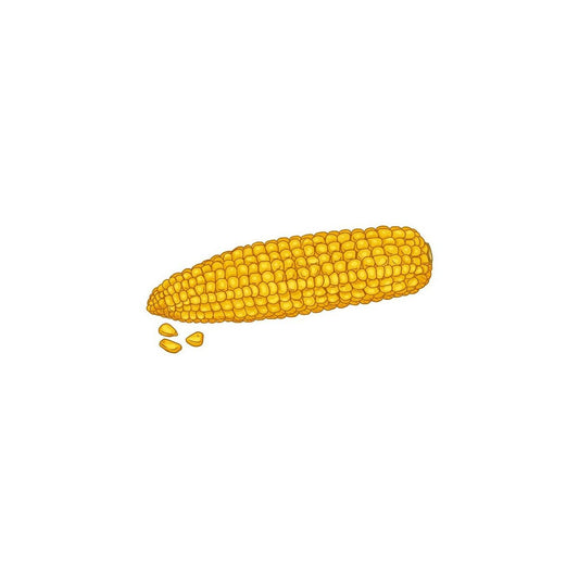 V4HC443E1AF4F9D0A0F084EEA08F6657AFFR5155309P1