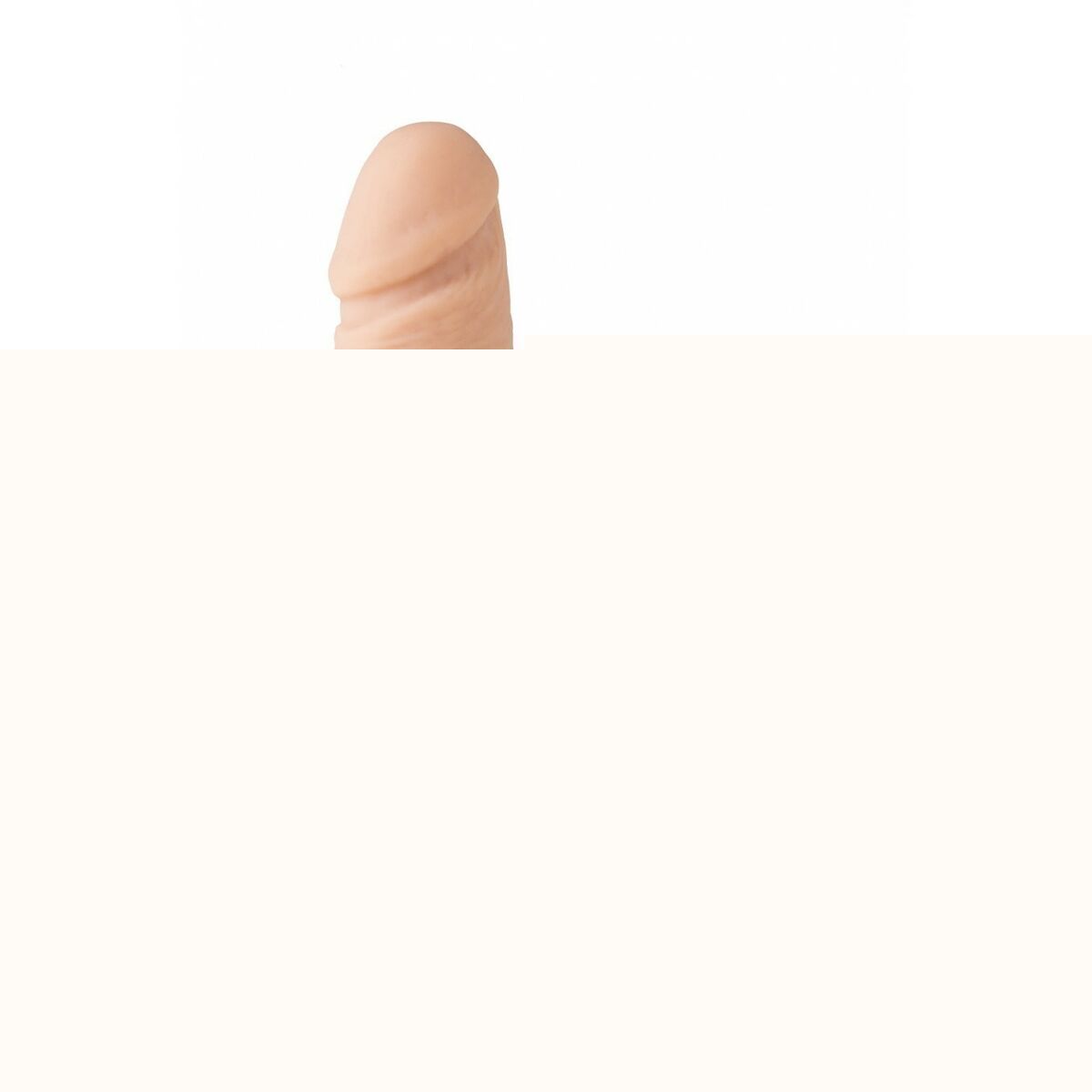 V4H4B20BE3AA316F0B43CA33F0A0FBCB36AR4779002P2