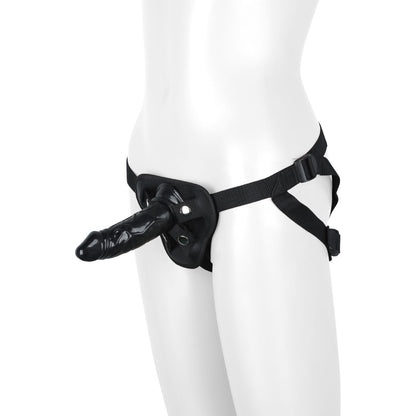 V4H219660D31ABED322BEE1F011A5B3BE1DR4916611P2